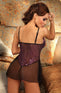 Beauty Night Oxalis Teddy Purple - BN6176